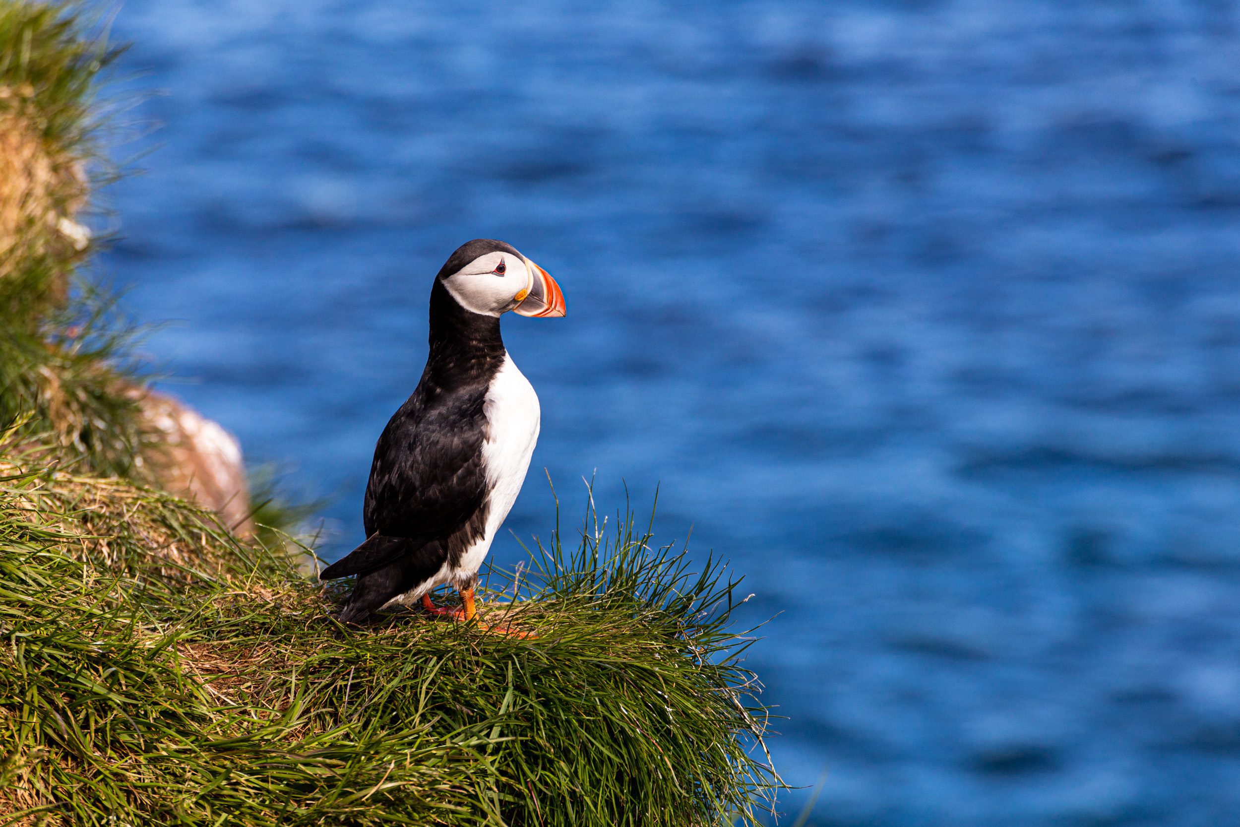 Spending a Weekend in East Iceland