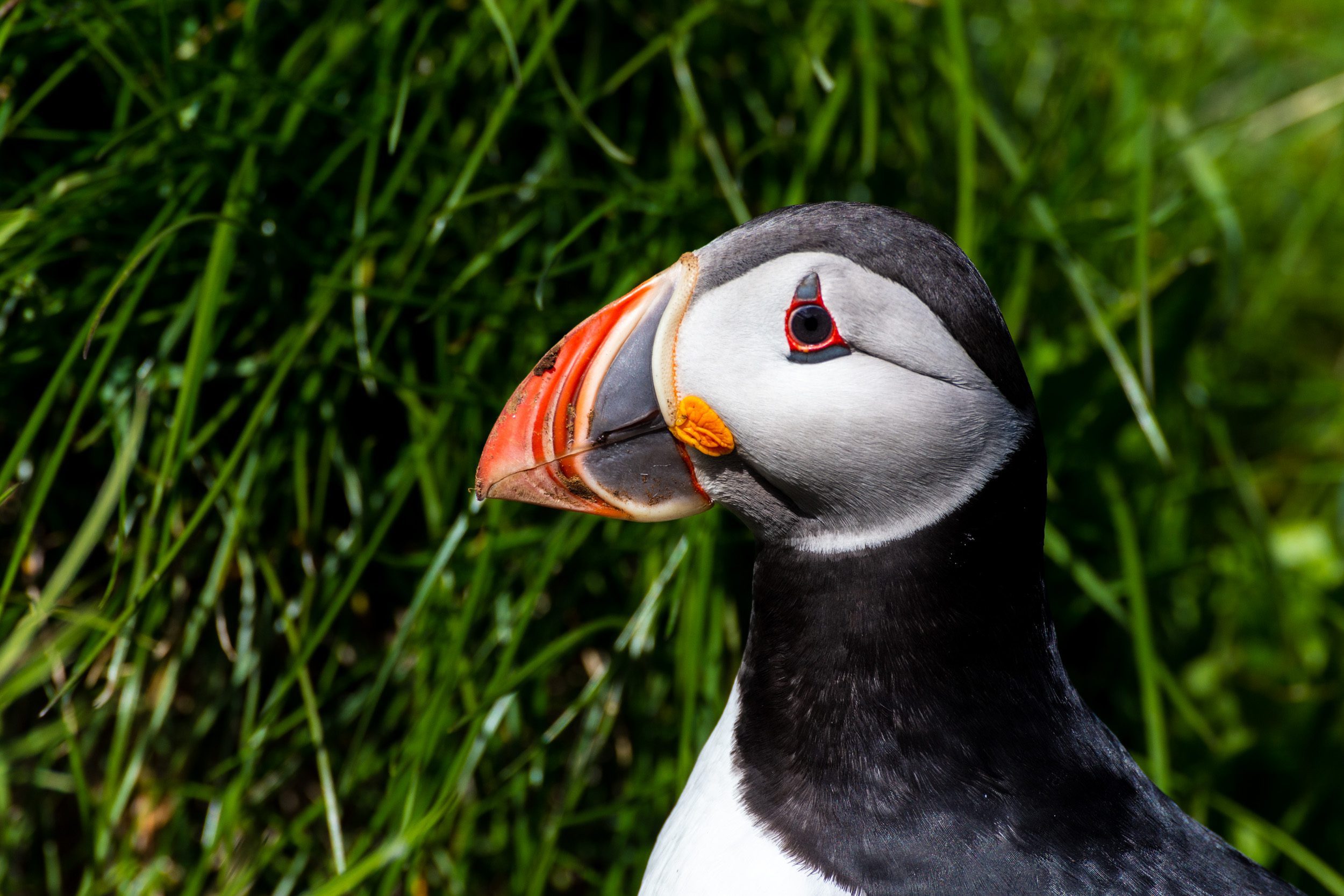 Spending a Weekend in East Iceland