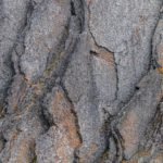 Sailing Expedition in the Svalbard Archipelago - Part 1