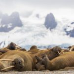 Sailing Expedition in the Svalbard Archipelago - Part 1