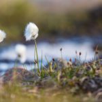 Sailing Expedition in the Svalbard Archipelago - Part 2