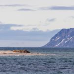 Sailing Expedition in the Svalbard Archipelago - Part 2