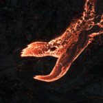 My Photographic Journey of a Volcanic 10 Weeks