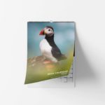Free Calendar Mockup scaled