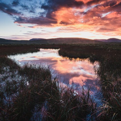 A beautiful midnight sun reflecting in a swamp in North Iceland.