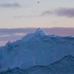 A raven soaring above a mountain of ice in Ilulissat, Greenland.