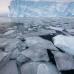 Floating sea ice shards between the icebergs in Ilulissat, Greenland.