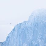 Two ravens flying over an iceberg in Ilulissat, Greenland.
