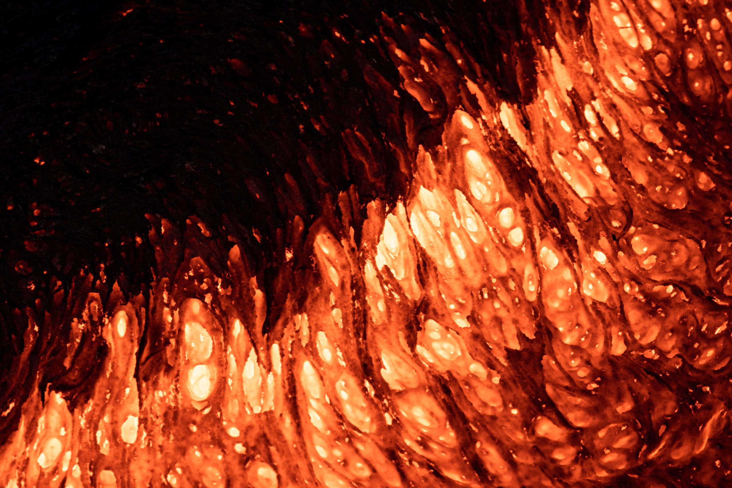 I Received the Qualified European Photographer (QEP) Qualification!