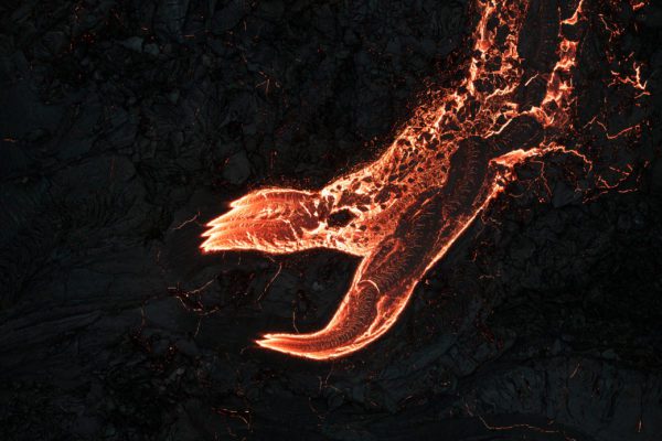 I Received the Qualified European Photographer (QEP) Qualification!