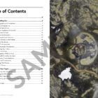 Improve Your Drone Photography With My Updated E-Book!