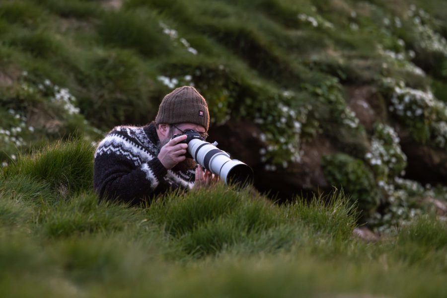 Photographer lying low in the grass with the Canon RF 100-500mm shooting Atlantic puffins in Iceland.