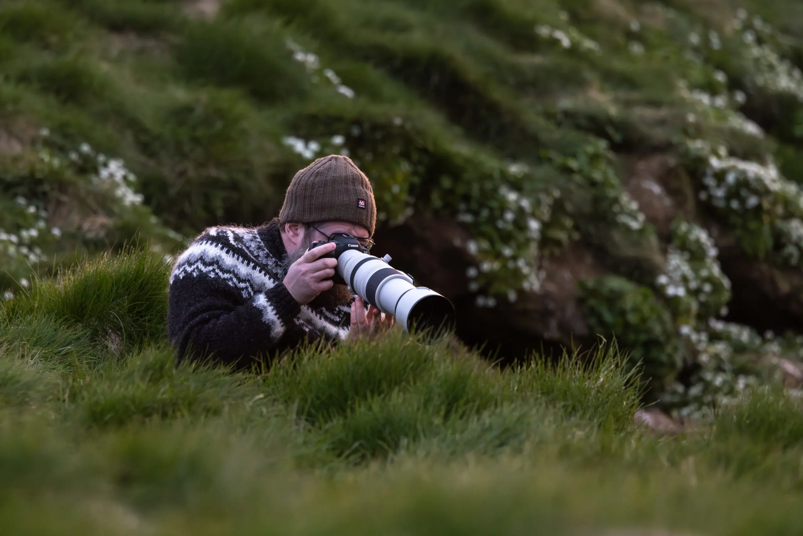 Photographer lying low in the grass with the Canon RF 100-500mm shooting Atlantic puffins in Iceland.