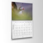 2024 Puffins Calendar