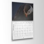 2024 Puffins Calendar
