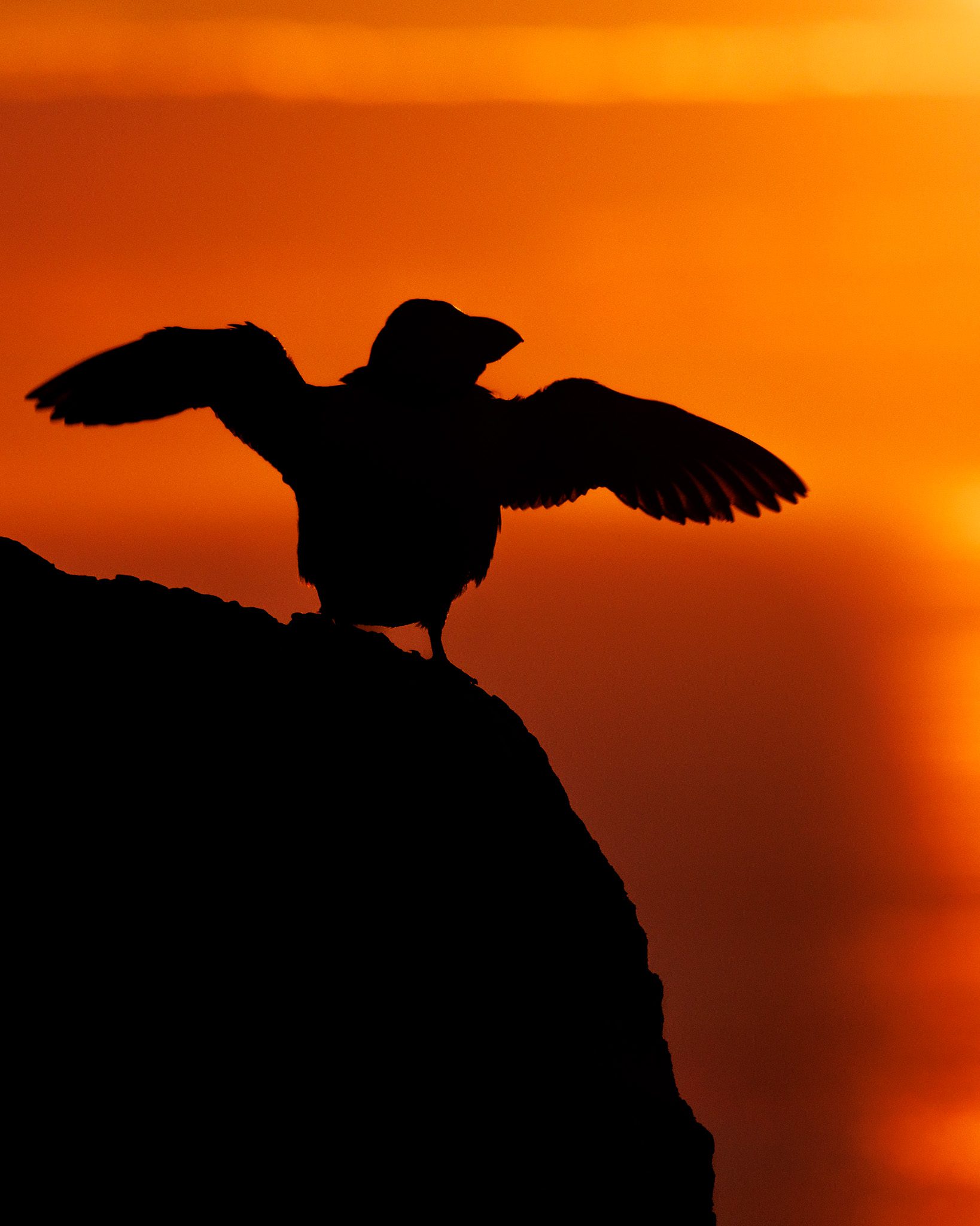 Iceland and Greenland Photography Tours: Capture the Arctic