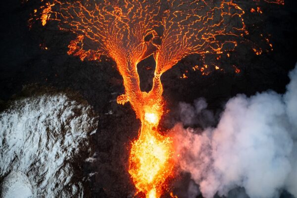 Finalist In The FEP Awards 2024!