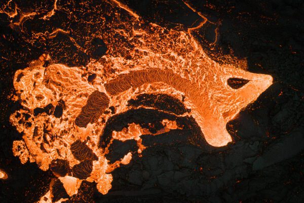 FEP Awards 2024 - Sixth Place in 'Nature'!