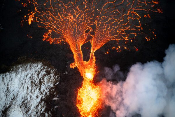 FEP Awards 2024 - Sixth Place in 'Nature'!