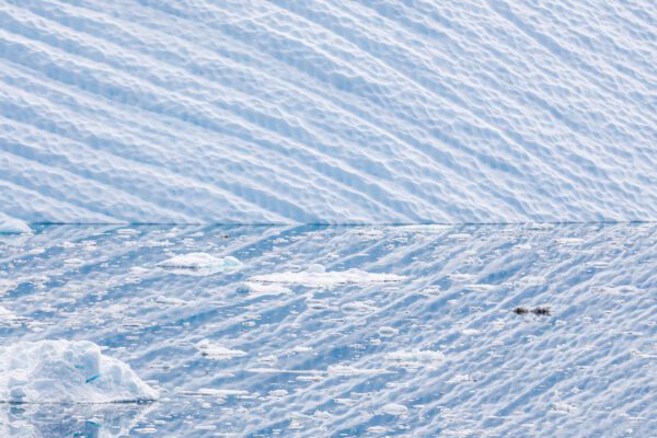 FEP Awards 2024 - Sixth Place in 'Nature'!