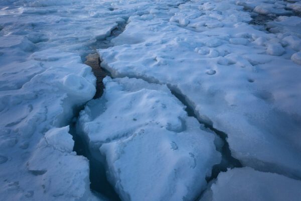 FEP Awards 2024 - Sixth Place in 'Nature'!