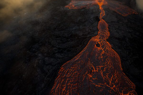 FEP Awards 2024 - Sixth Place in 'Nature'!