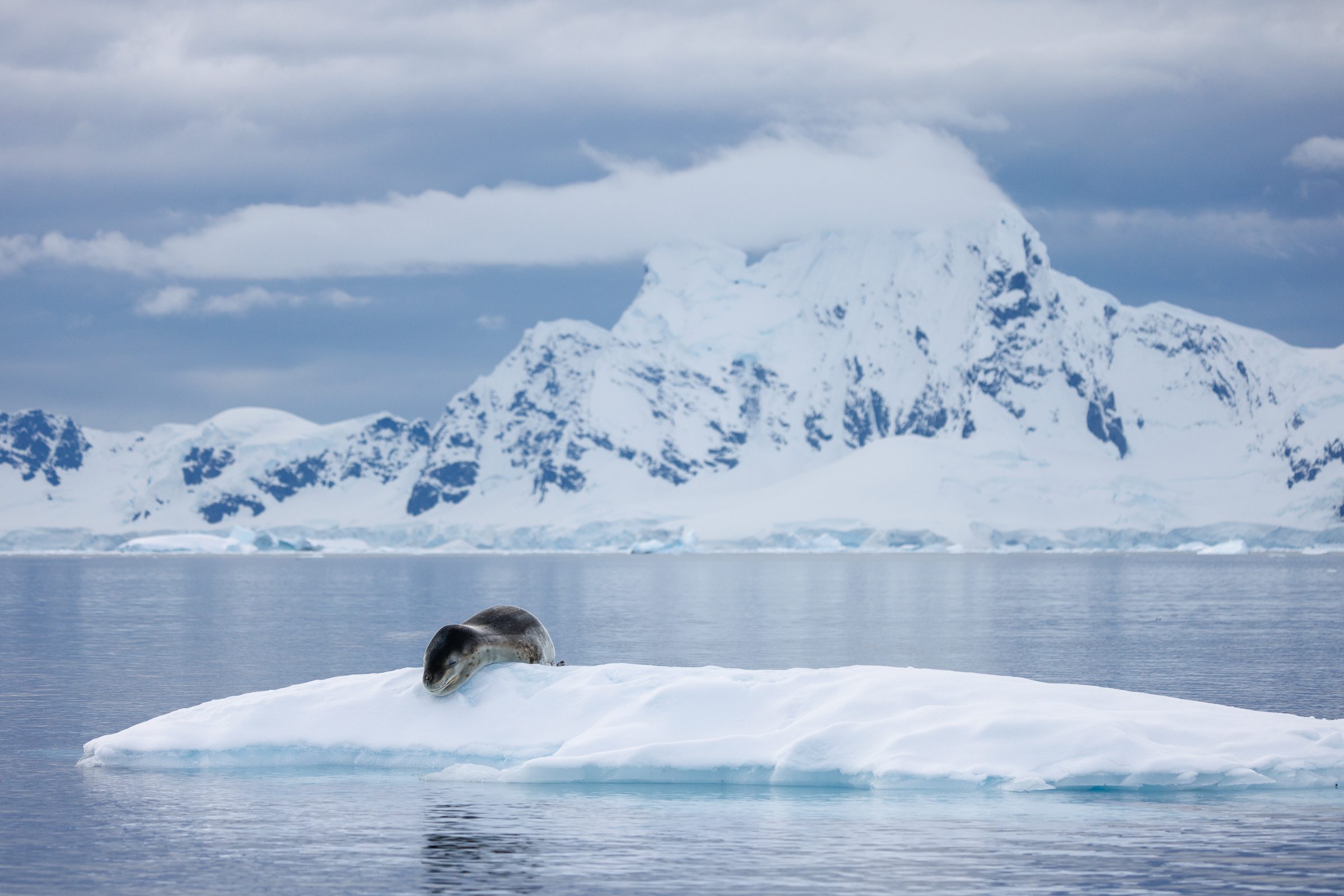 Antarctica: Photography At The Edge Of The World (Part 2)