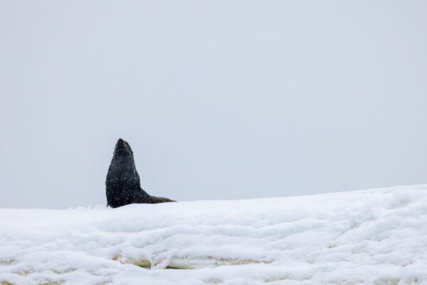 Getting The Best Results When Photographing From A Boat Or Ship