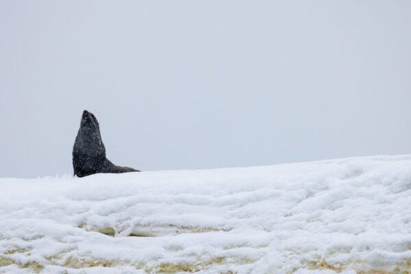 Getting The Best Results When Photographing From A Boat Or Ship