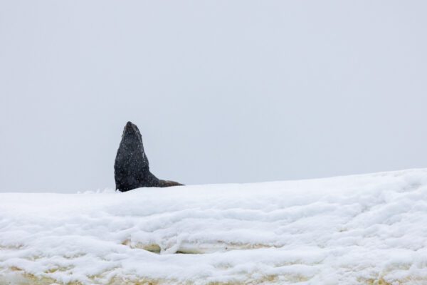 Getting The Best Results When Photographing From A Boat Or Ship
