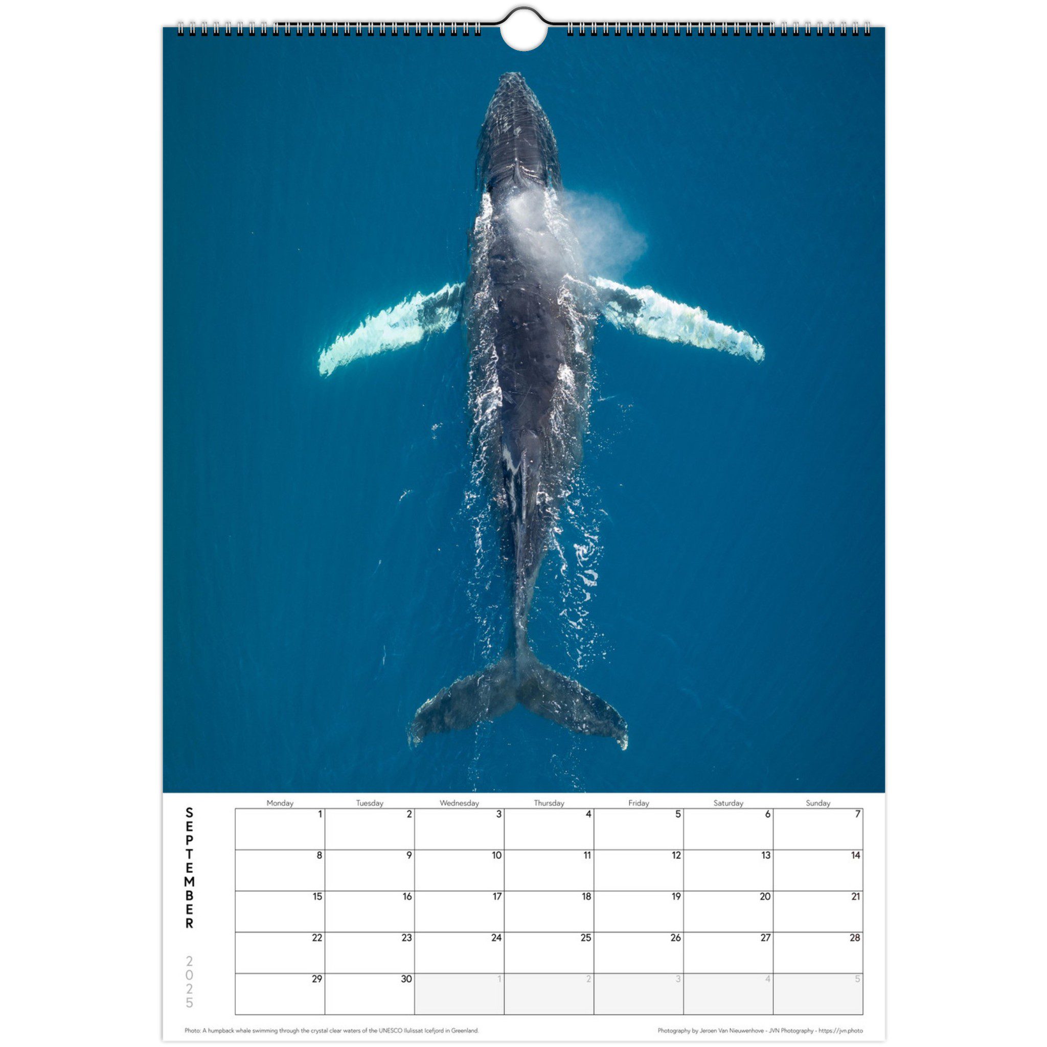 2a51630e-90d3-4728-a316-4e9bfacc11c6