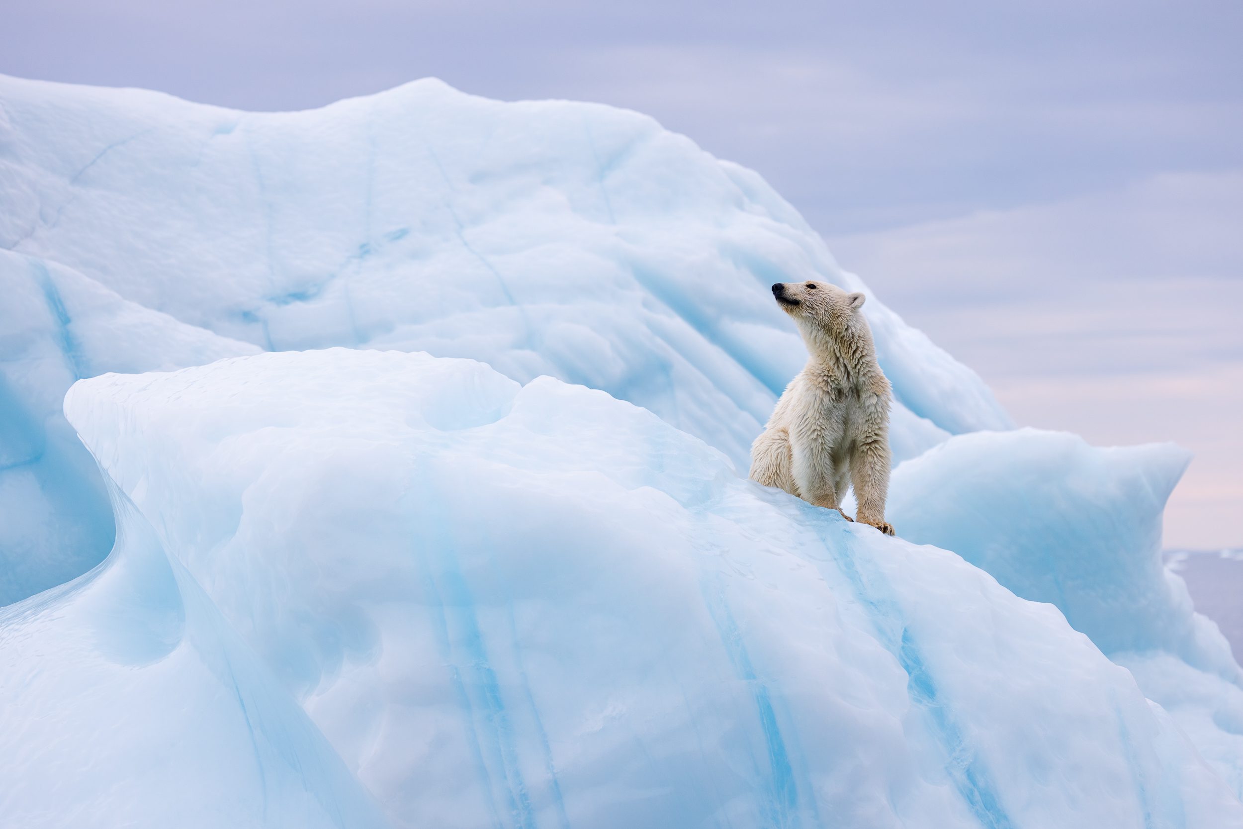 Eastern Greenland: Exploring The Solitude of Scoresbysund