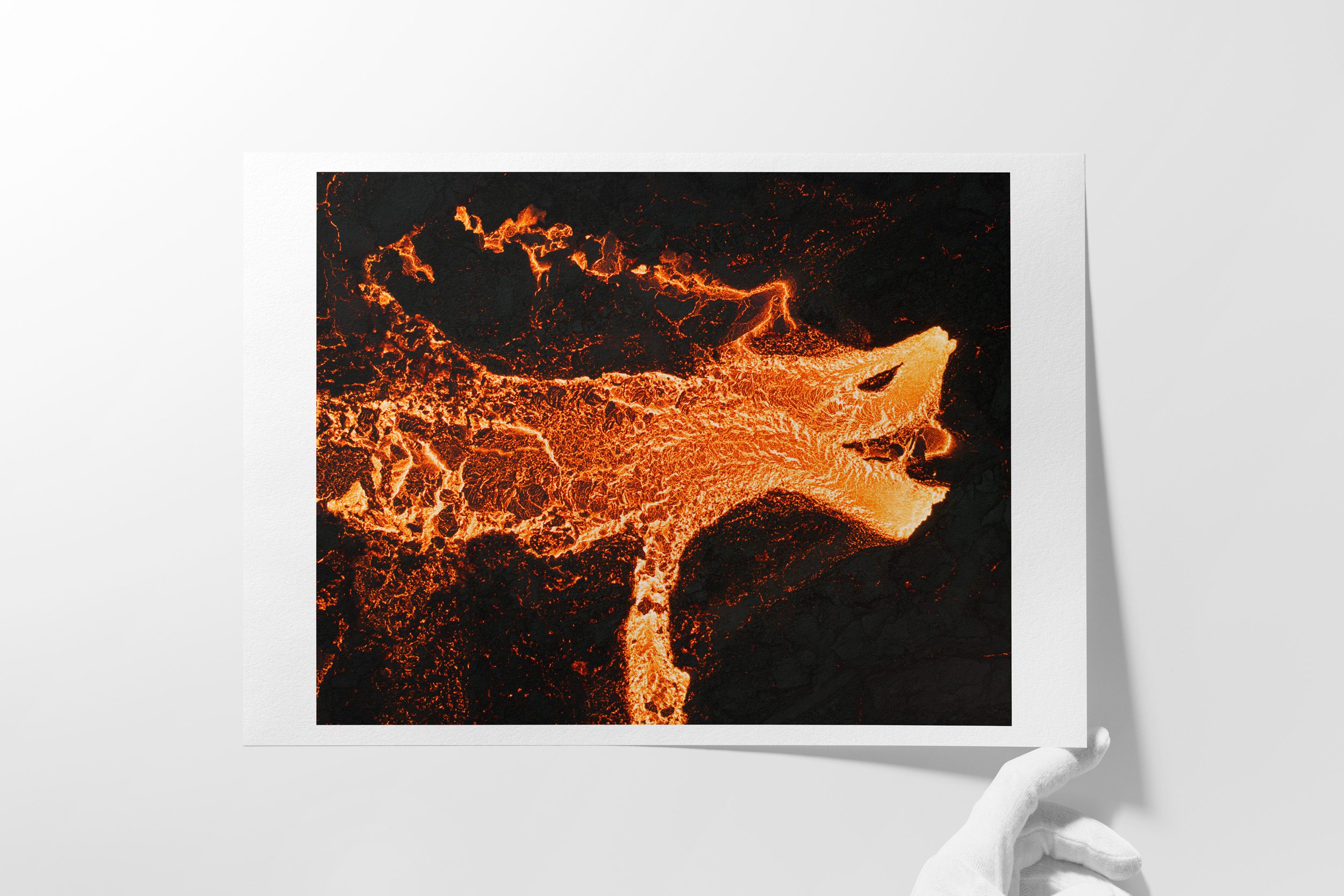 Elddreki / Fire Dragon