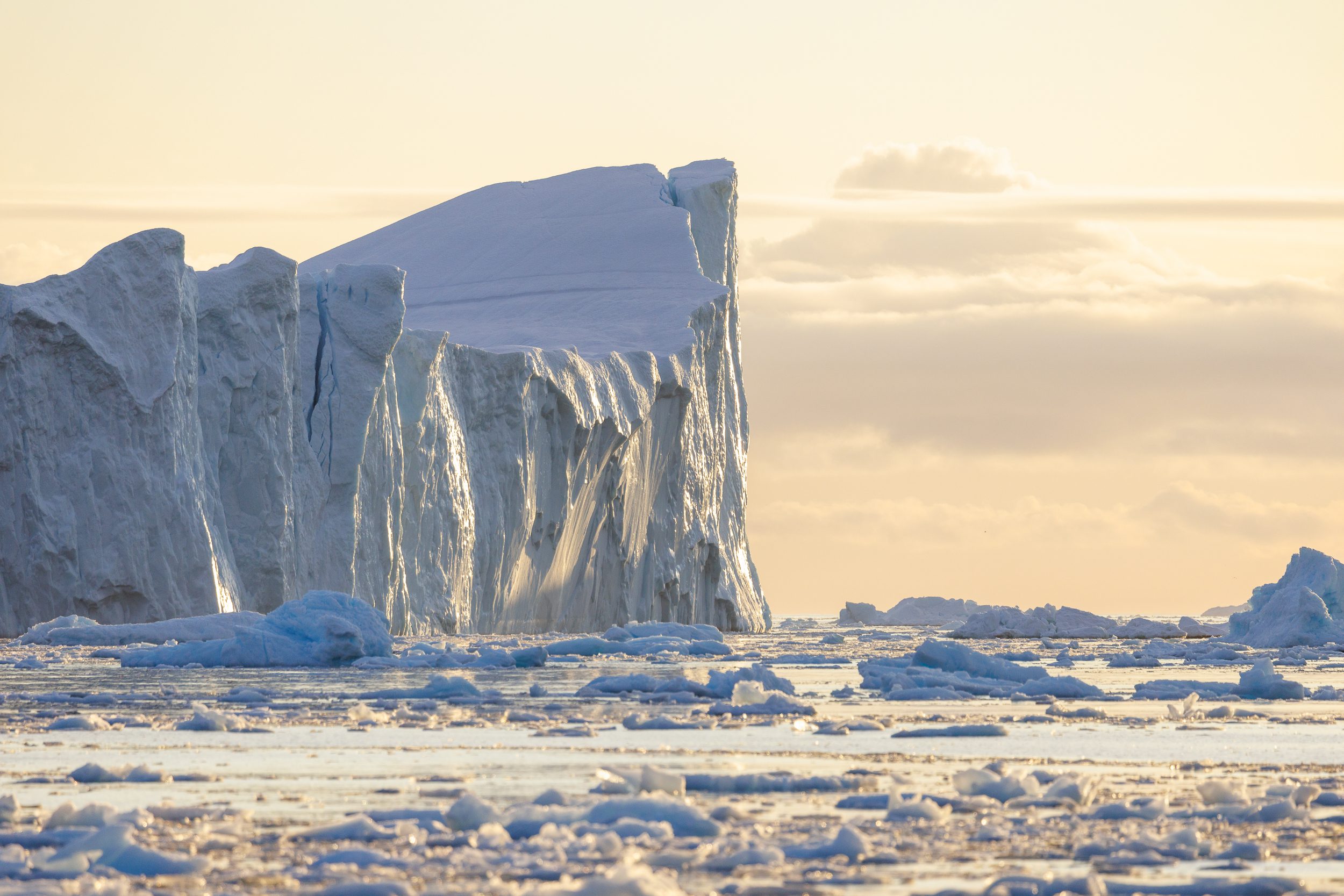 Massive icebergs in the Icefjord