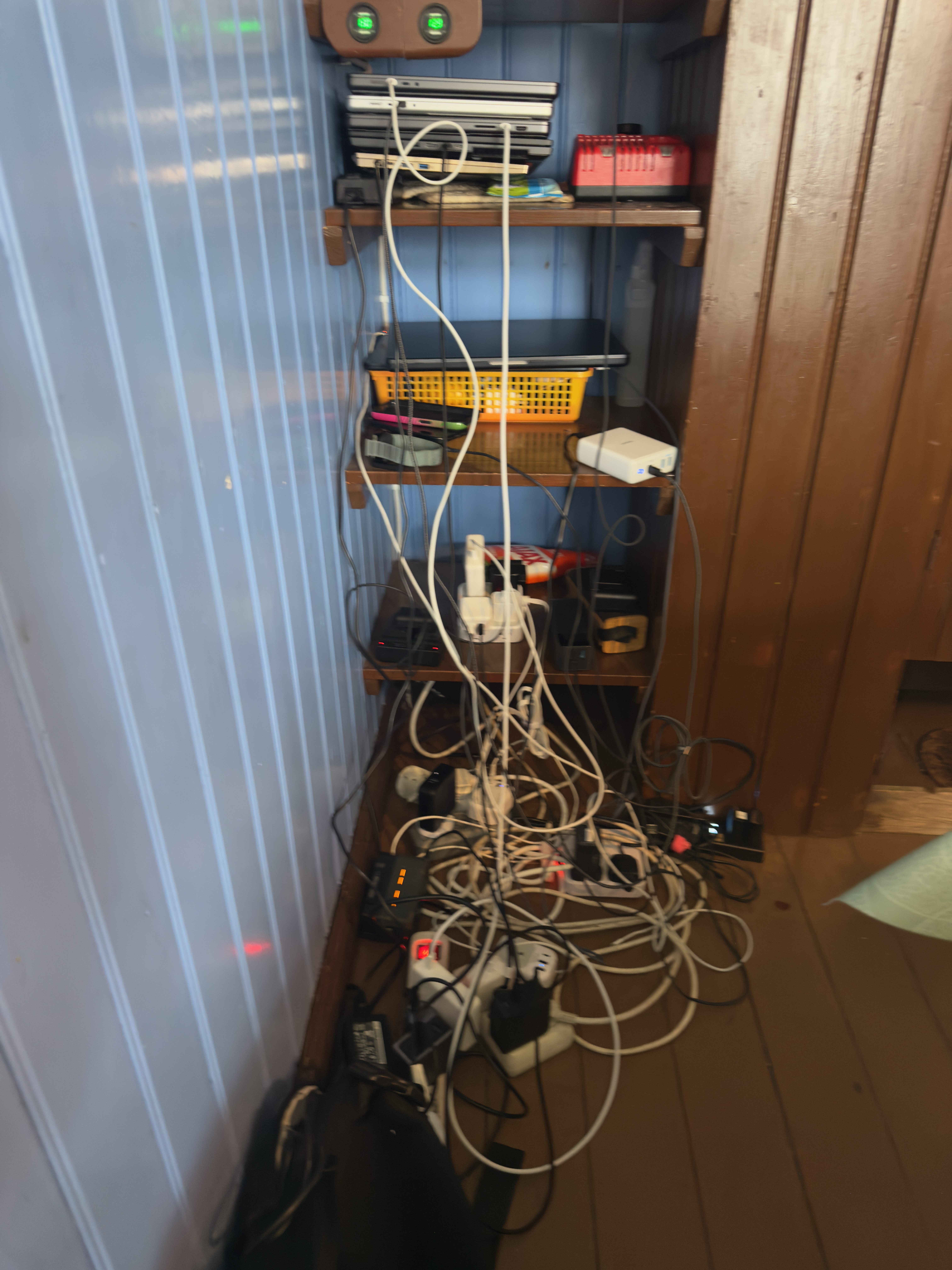 Canon RF 200-800mm F6.3-9 IS USM: Photographing Arctic Foxes