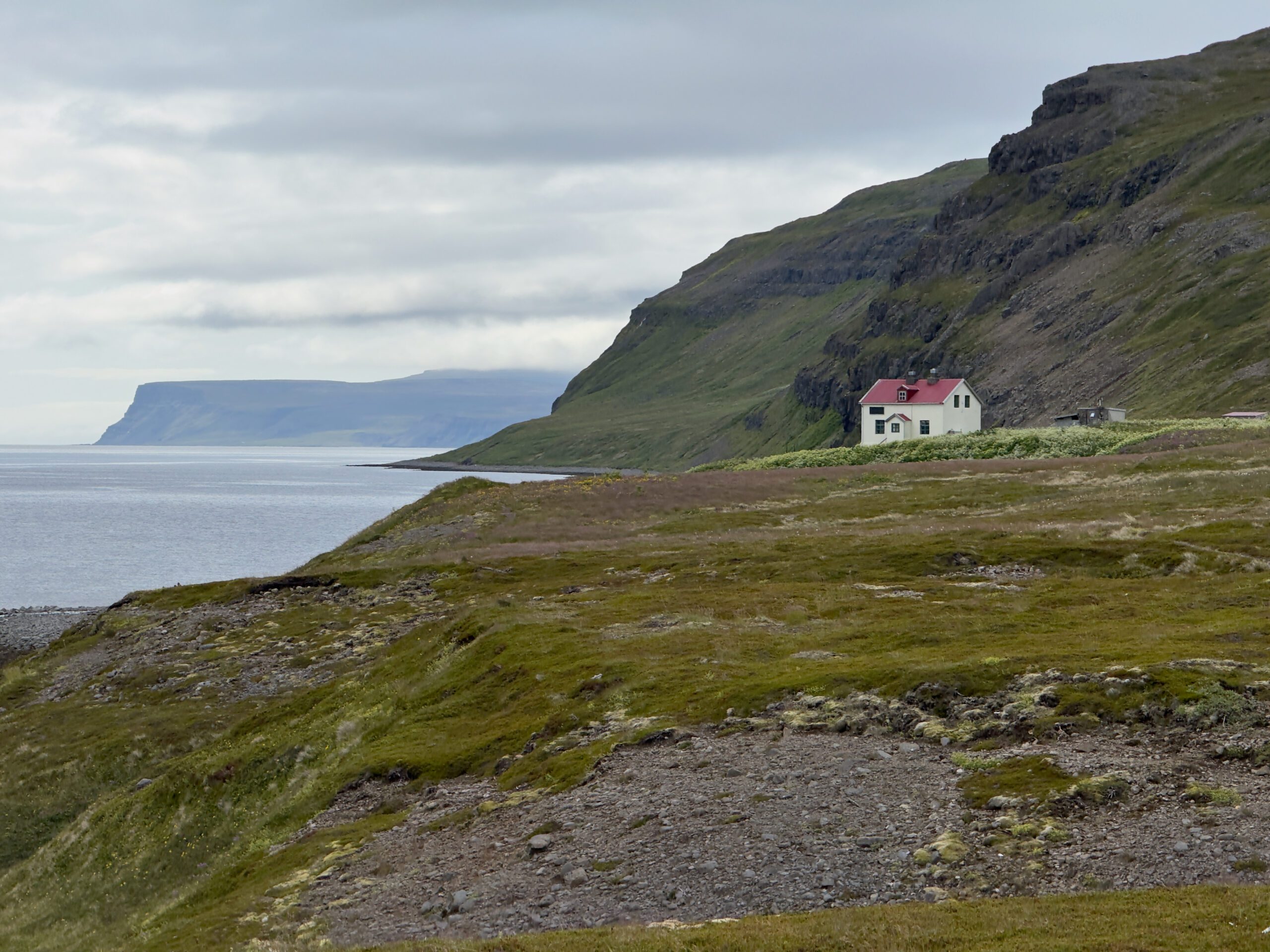 Canon RF 200-800mm F6.3-9 IS USM: Photographing Arctic Foxes