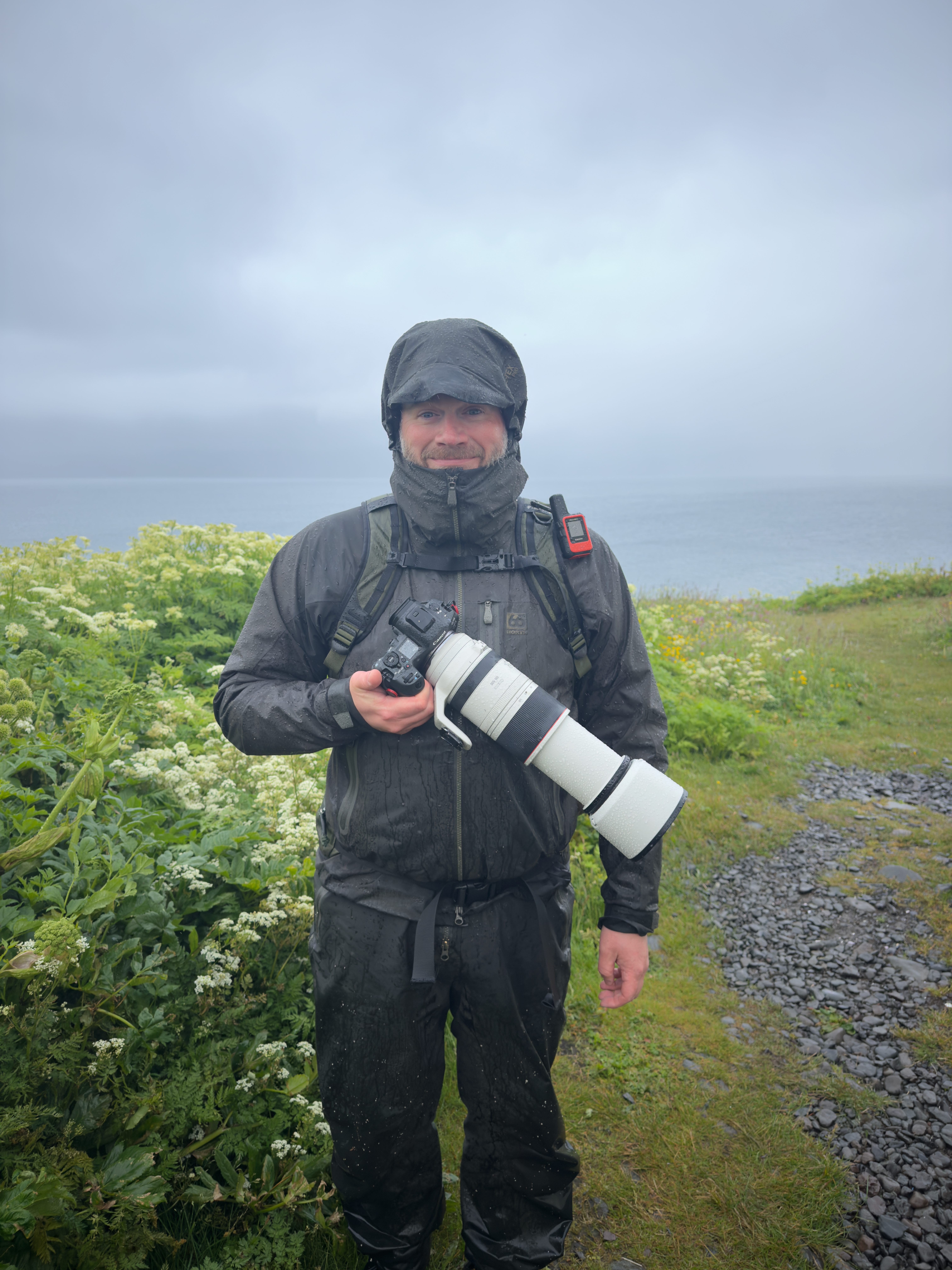 Canon RF 200-800mm F6.3-9 IS USM: Photographing Arctic Foxes