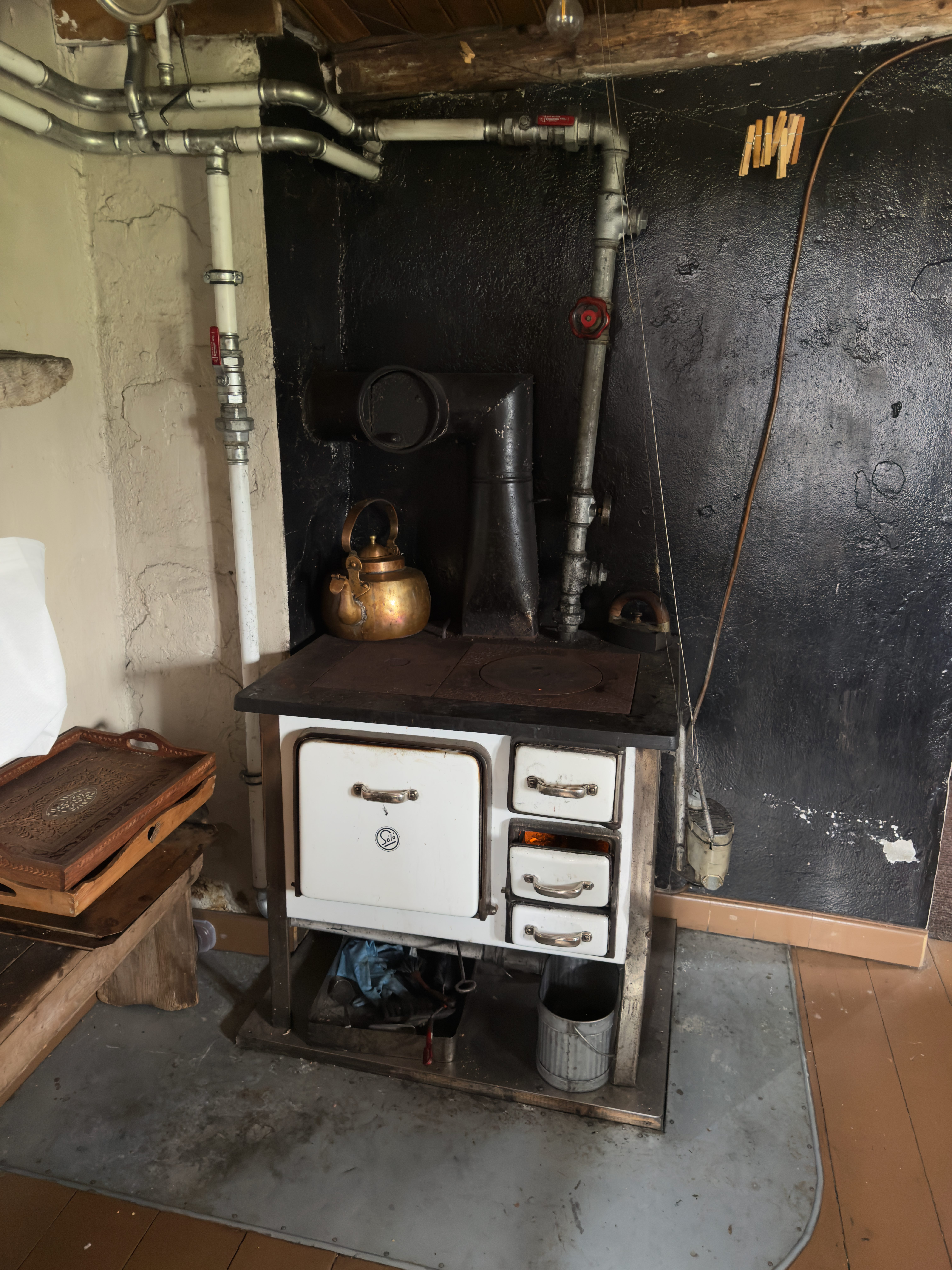 Canon RF 200-800mm F6.3-9 IS USM: Photographing Arctic Foxes