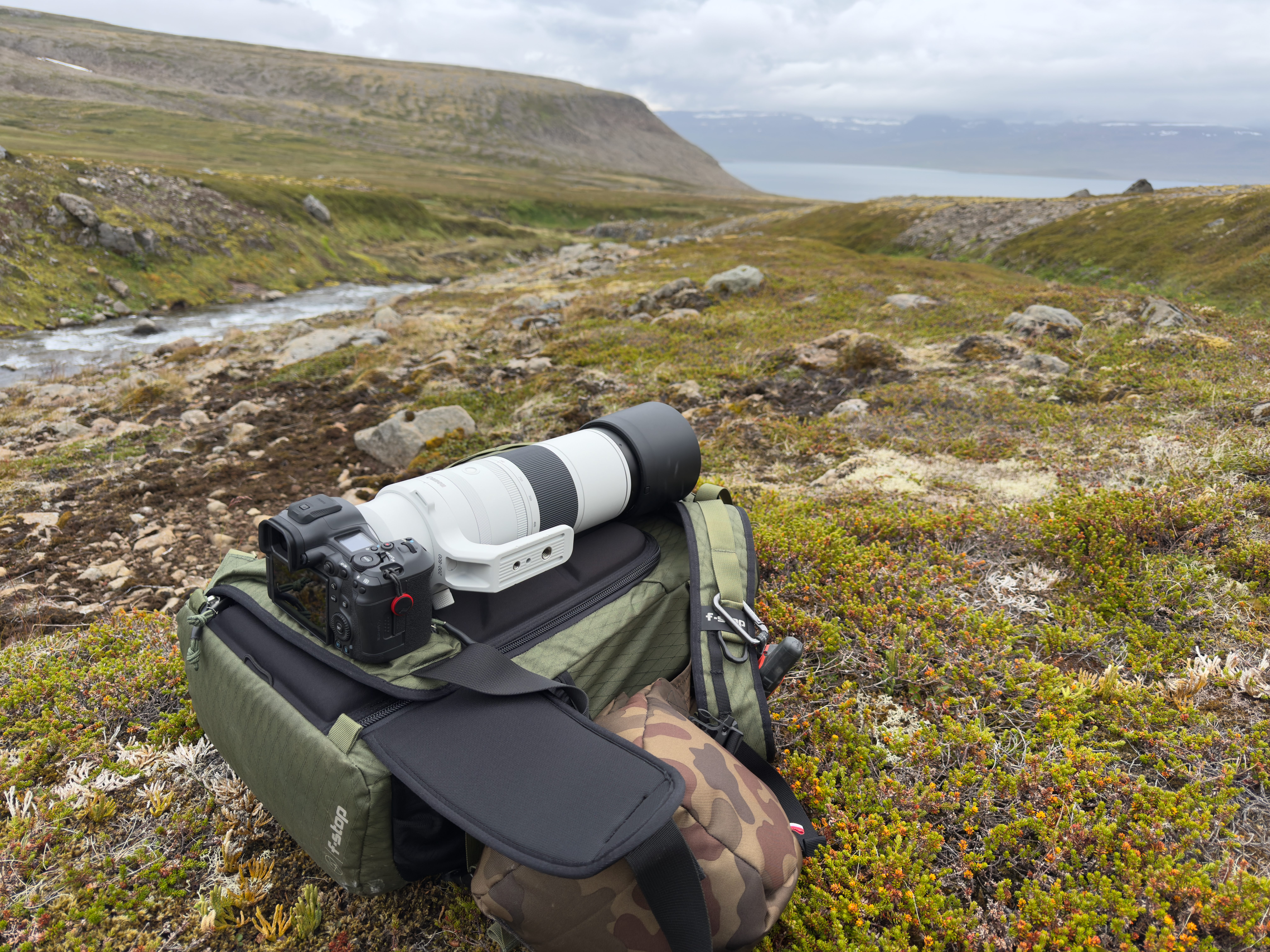 Canon RF 200-800mm F6.3-9 IS USM: Photographing Arctic Foxes