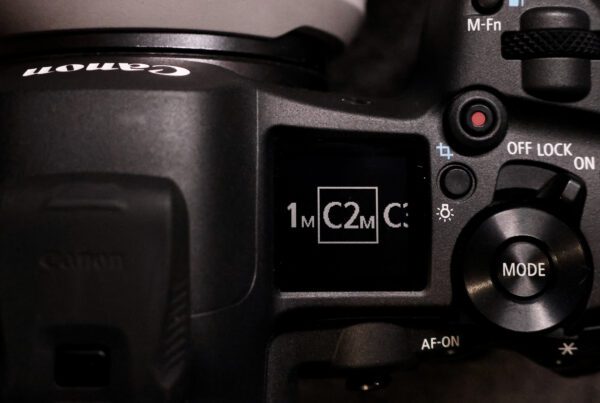 How Custom Modes Improved My Landscape & Wildlife Photography