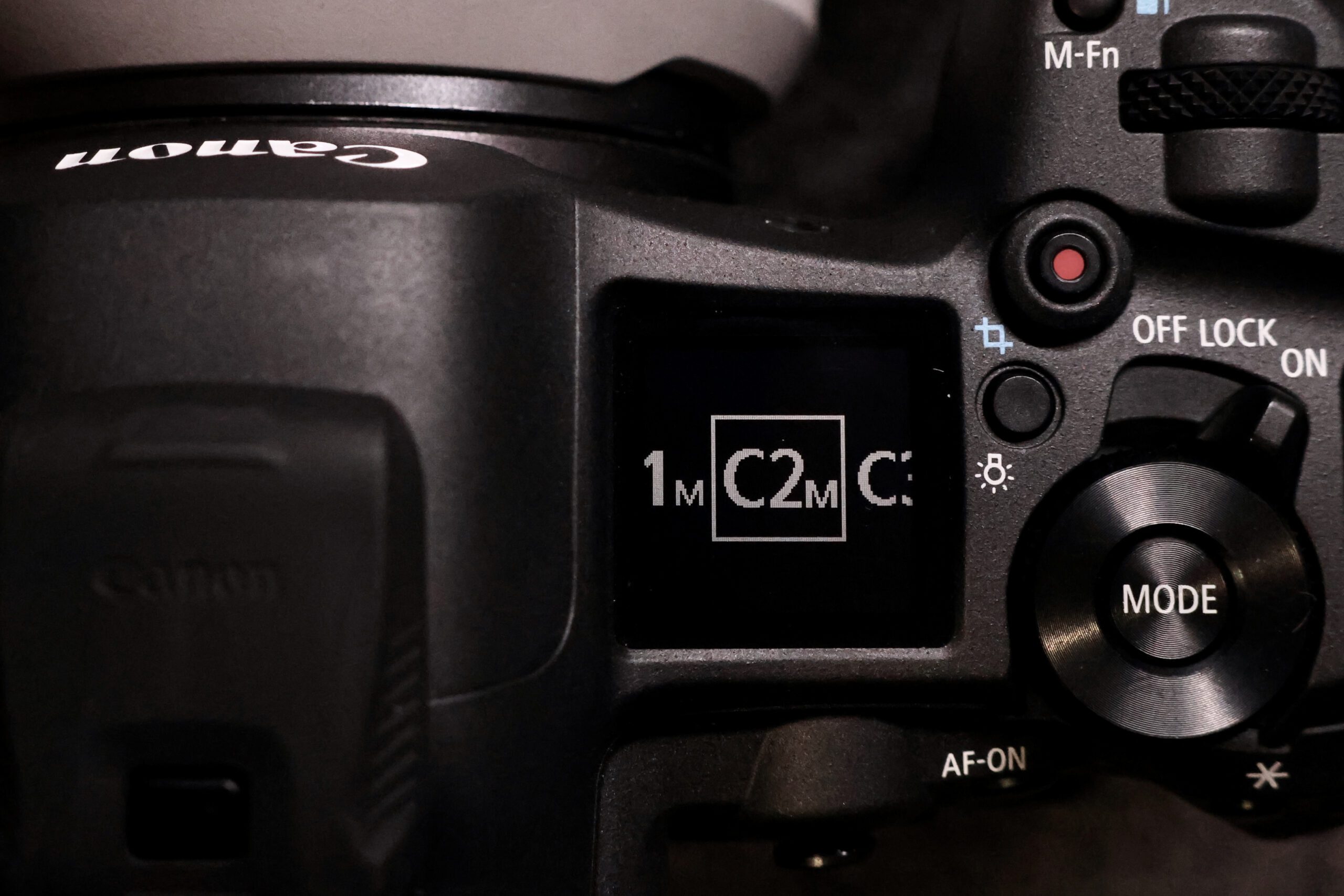 How Custom Modes Improved My Landscape & Wildlife Photography