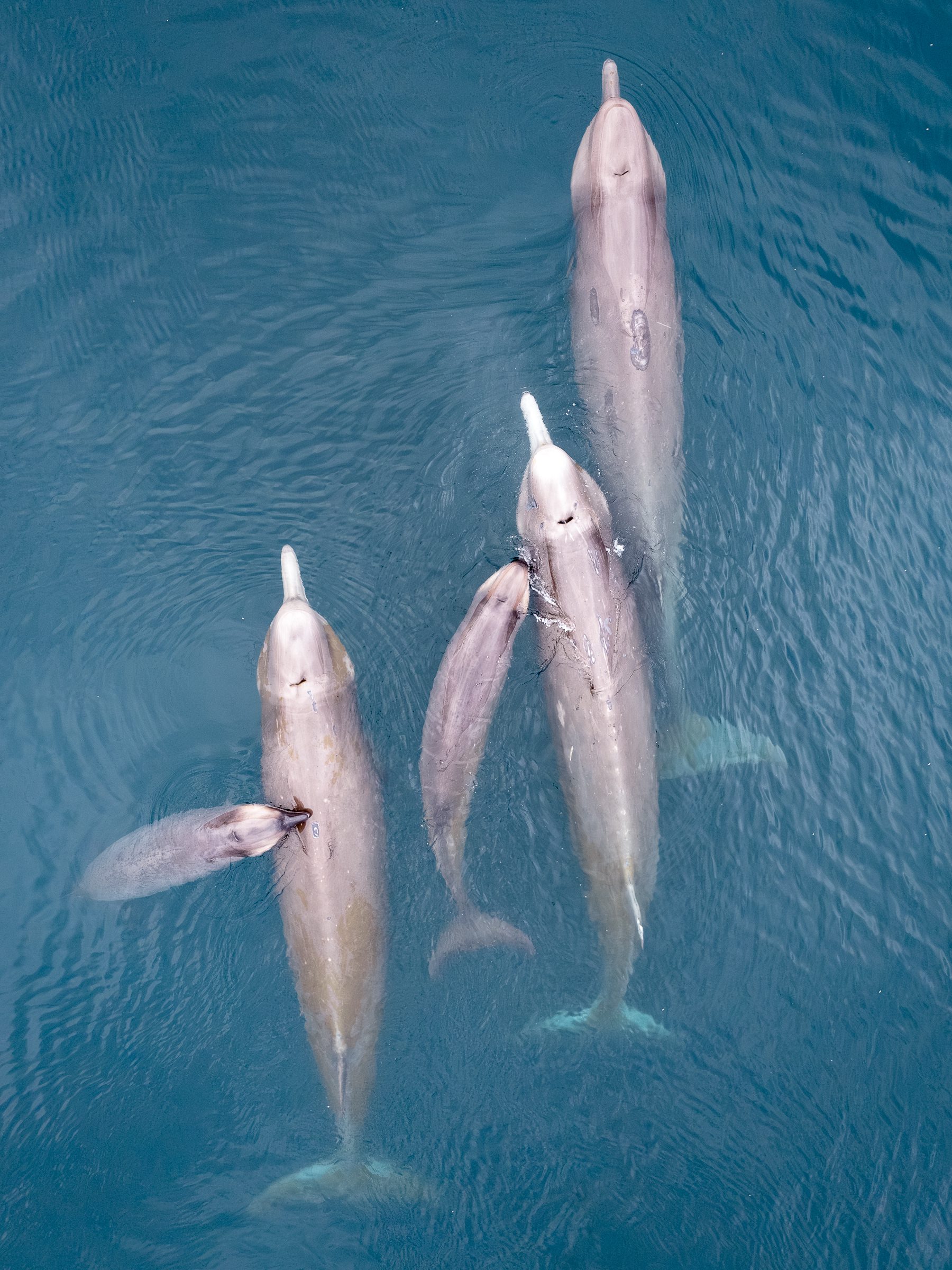 2025 – My Photographic Year in Review