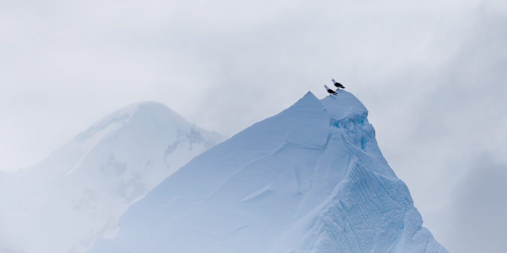 Photo Workshop Report: Antarctica & the Antarctic Peninsula 2026