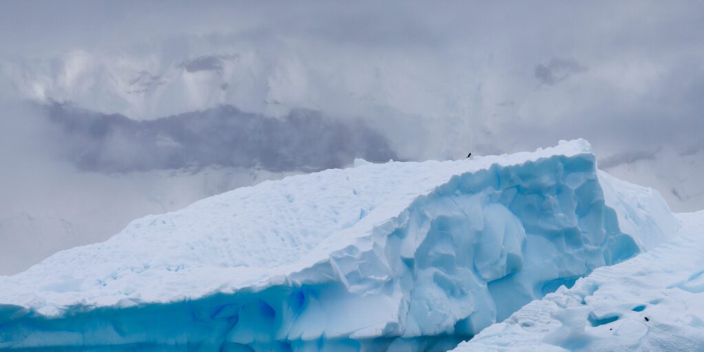 Photo Workshop Report: Antarctica & the Antarctic Peninsula 2026