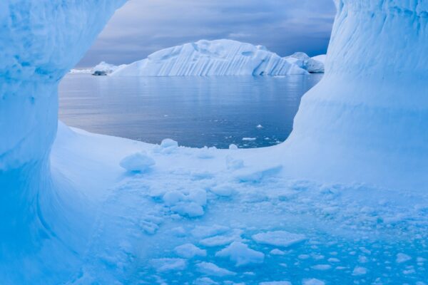 Finalist In The FEP Awards 2026!